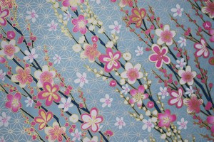 14500417955_b58f5254e1_b