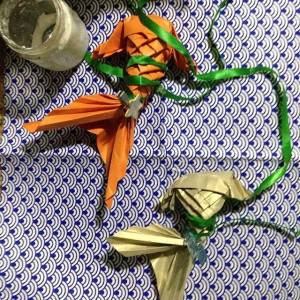 10330316_782236341809165_4298898054795731926_n (1)