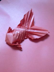 10369197_778886738810792_1431124413583420906_n