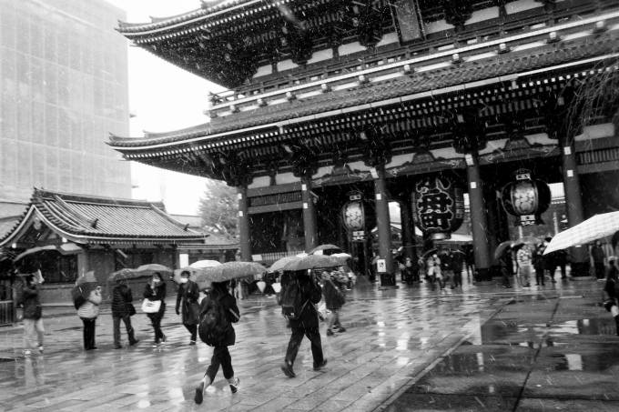 17310117_1501365916562867_8450409291785005427_o