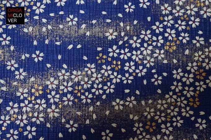 18581492_1572459019453556_1101435033741381383_n