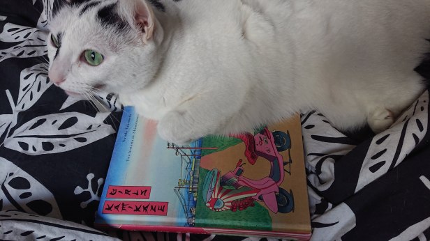 La imagen tiene un atributo ALT vacío; su nombre de archivo es dsc_8461.jpg